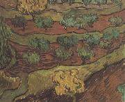 Vincent Van Gogh Olive Trees against a Slope of a Hill (nn04) Spain oil painting reproduction